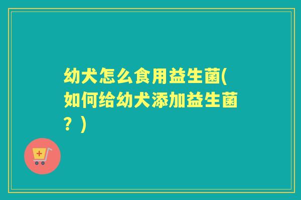 幼犬怎么食用益生菌(如何给幼犬添加益生菌?) 幼犬怎么食用益生菌(如何给幼犬添加益生菌?)
