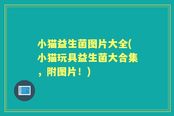 小猫益生菌图片大全(小猫玩具益生菌大合集,附图片!) 小猫益生菌图片大全(小猫玩具益生菌大合集,附图片!)