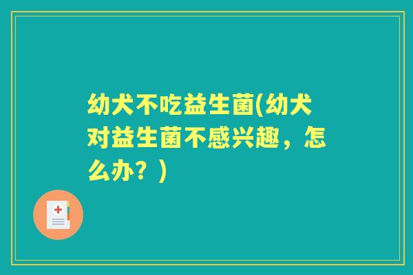 幼犬不吃益生菌(幼犬对益生菌不感兴趣,怎么办?) 幼犬不吃益生菌(幼犬对益生菌不感兴趣,怎么办?)