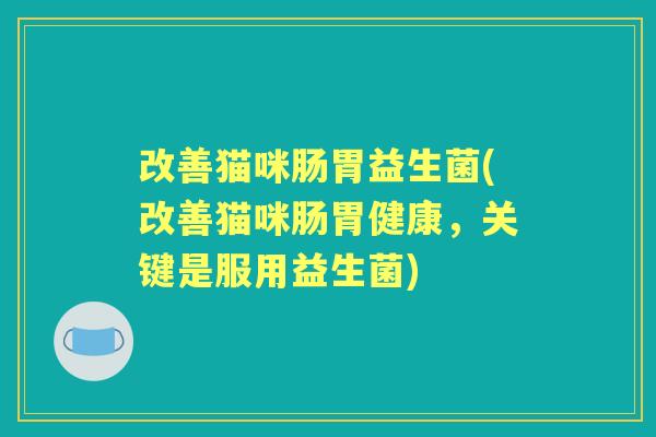 改善猫咪肠胃益生菌(改善猫咪肠胃健康,关键是服用益生菌) 改善猫咪肠胃益生菌(改善猫咪肠胃健康,关键是服用益生菌)
