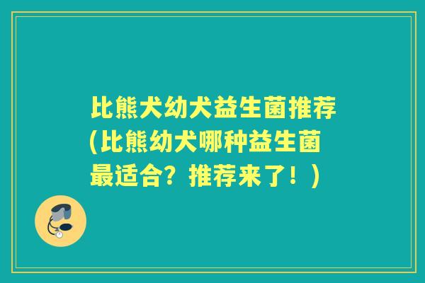 比熊犬幼犬益生菌推荐(比熊幼犬哪种益生菌适合?推荐来了!) 比熊犬幼犬益生菌推荐(比熊幼犬哪种益生菌适合?推荐来了!)