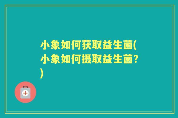 小象如何获取益生菌(小象如何摄取益生菌?) 小象如何获取益生菌(小象如何摄取益生菌?)