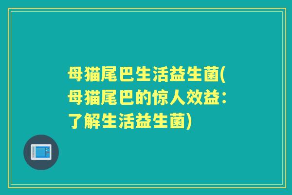 母猫尾巴生活益生菌(母猫尾巴的惊人效益:了解生活益生菌) 母猫尾巴生活益生菌(母猫尾巴的惊人效益:了解生活益生菌)