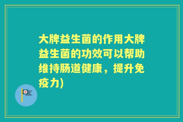 大牌益生菌的作用大牌益生菌的功效可以帮助维持肠道健康，提升力)