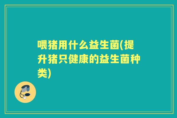 喂猪用什么益生菌(提升猪只健康的益生菌种类) 喂猪用什么益生菌(提升猪只健康的益生菌种类)