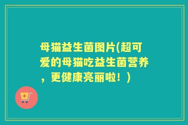 母猫益生菌图片(超可爱的母猫吃益生菌营养,更健康亮丽啦!) 母猫益生菌图片(超可爱的母猫吃益生菌营养,更健康亮丽啦!)