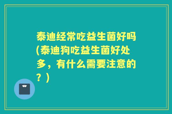 泰迪经常吃益生菌好吗(泰迪狗吃益生菌好处多,有什么需要注意的?) 泰迪经常吃益生菌好吗(泰迪狗吃益生菌好处多,有什么需要注意的?)