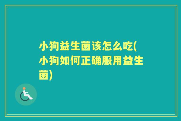 小狗益生菌该怎么吃(小狗如何正确服用益生菌)