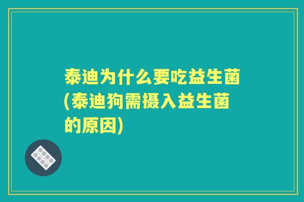 泰迪为什么要吃益生菌(泰迪狗需摄入益生菌的原因) 泰迪为什么要吃益生菌(泰迪狗需摄入益生菌的原因)