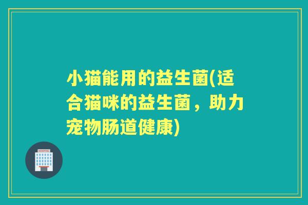 小猫能用的益生菌(适合猫咪的益生菌，助力宠物肠道健康)