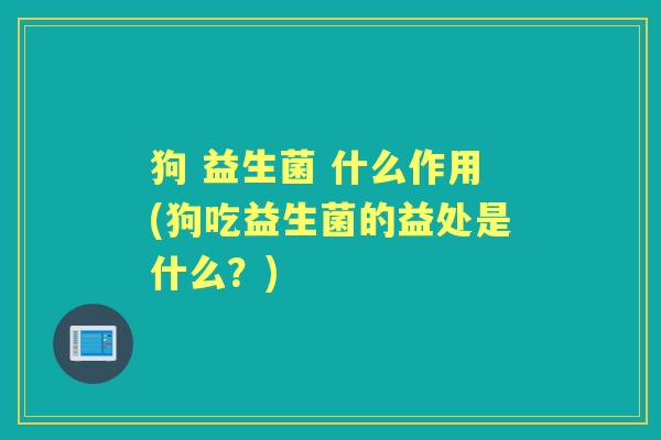 狗 益生菌 什么作用(狗吃益生菌的益处是什么?) 狗 益生菌 什么作用(狗吃益生菌的益处是什么?)