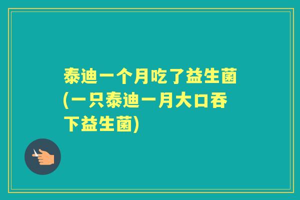 泰迪一个月吃了益生菌(一只泰迪一月大口吞下益生菌) 泰迪一个月吃了益生菌(一只泰迪一月大口吞下益生菌)