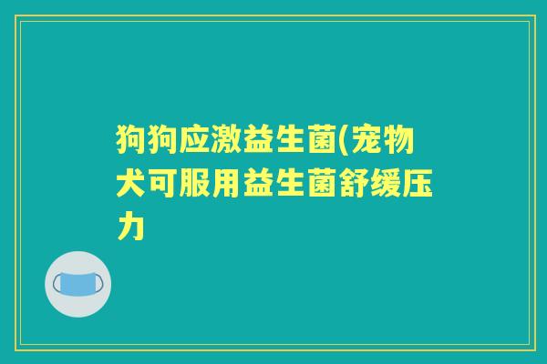 狗狗应激益生菌(宠物犬可服用益生菌舒缓压力