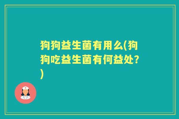 狗狗益生菌有用么(狗狗吃益生菌有何益处?) 狗狗益生菌有用么(狗狗吃益生菌有何益处?)