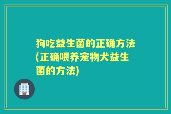 狗吃益生菌的正确方法(正确喂养宠物犬益生菌的方法)