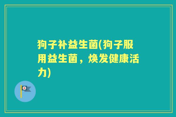 狗子补益生菌(狗子服用益生菌，焕发健康活力)