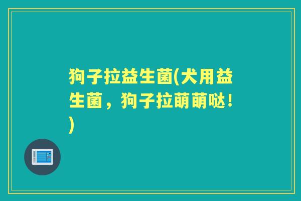 狗子拉益生菌(犬用益生菌，狗子拉萌萌哒！)