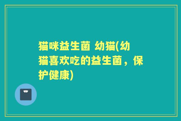 猫咪益生菌 幼猫(幼猫喜欢吃的益生菌，保护健康)