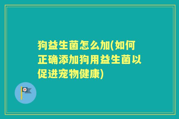 狗益生菌怎么加(如何正确添加狗用益生菌以促进宠物健康) 狗益生菌怎么加(如何正确添加狗用益生菌以促进宠物健康)