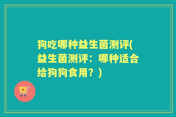 狗吃哪种益生菌测评(益生菌测评：哪种适合给狗狗食用？)