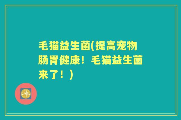 毛猫益生菌(提高宠物肠胃健康!毛猫益生菌来了!) 毛猫益生菌(提高宠物肠胃健康!毛猫益生菌来了!)