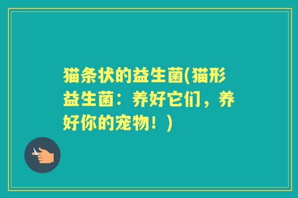 猫条状的益生菌(猫形益生菌:养好它们,养好你的宠物!) 猫条状的益生菌(猫形益生菌:养好它们,养好你的宠物!)