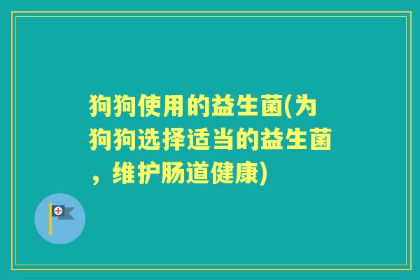 狗狗使用的益生菌(为狗狗选择适当的益生菌，维护肠道健康)