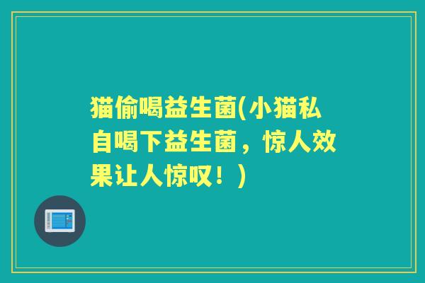 猫偷喝益生菌(小猫私自喝下益生菌,惊人效果让人惊叹!) 猫偷喝益生菌(小猫私自喝下益生菌,惊人效果让人惊叹!)