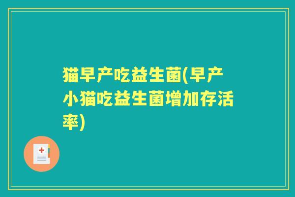 猫早产吃益生菌(早产小猫吃益生菌增加存活率)