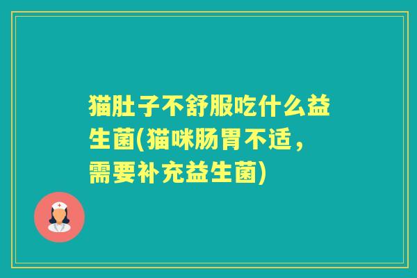 猫肚子不舒服吃什么益生菌(猫咪肠胃不适，需要补充益生菌)