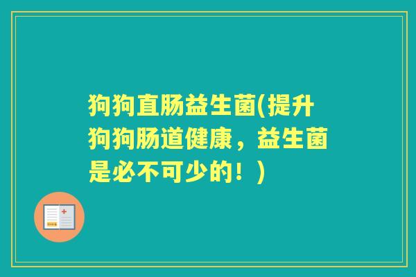 狗狗直肠益生菌(提升狗狗肠道健康,益生菌是必不可少的!) 狗狗直肠益生菌(提升狗狗肠道健康,益生菌是必不可少的!)