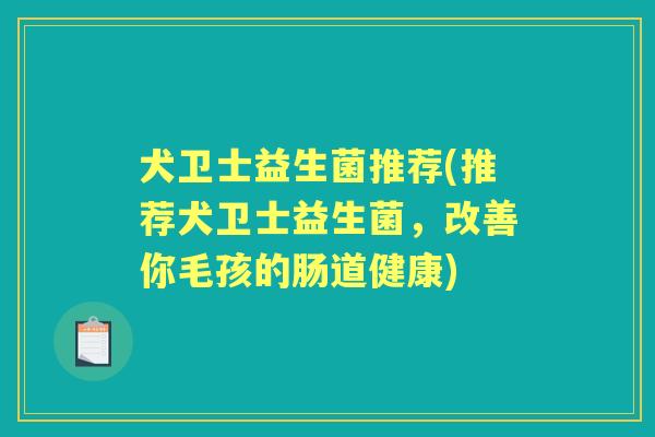 犬卫士益生菌推荐(推荐犬卫士益生菌，改善你毛孩的肠道健康)