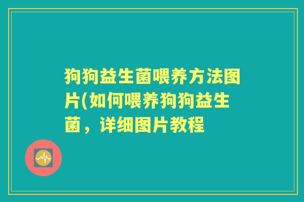 狗狗益生菌喂养方法图片(如何喂养狗狗益生菌，详细图片教程
