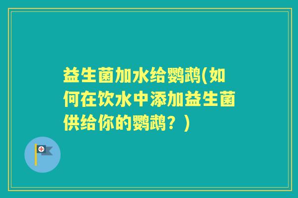 益生菌加水给鹦鹉(如何在饮水中添加益生菌供给你的鹦鹉?) 益生菌加水给鹦鹉(如何在饮水中添加益生菌供给你的鹦鹉?)