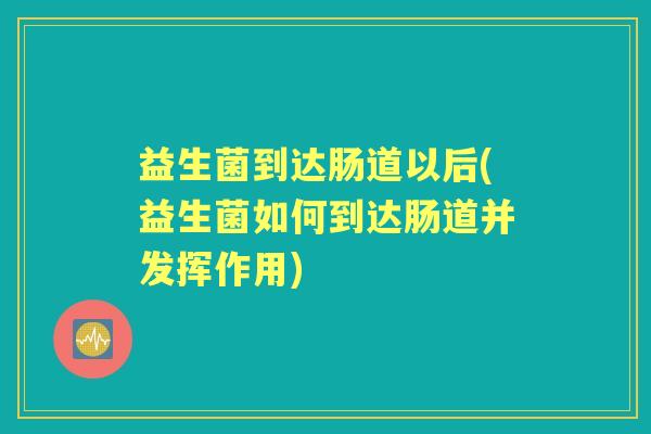 益生菌到达肠道以后(益生菌如何到达肠道并发挥作用)
