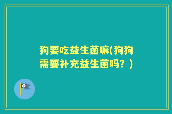 狗要吃益生菌嘛(狗狗需要补充益生菌吗？)