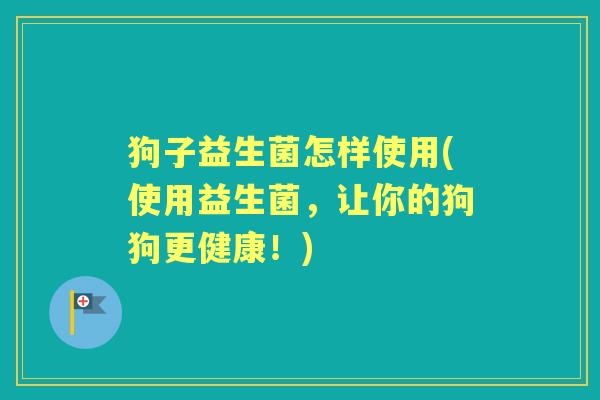 狗子益生菌怎样使用(使用益生菌,让你的狗狗更健康!) 狗子益生菌怎样使用(使用益生菌,让你的狗狗更健康!)