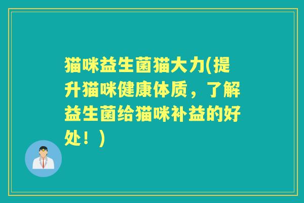 猫咪益生菌猫大力(提升猫咪健康体质,了解益生菌给猫咪补益的好处!) 猫咪益生菌猫大力(提升猫咪健康体质,了解益生菌给猫咪补益的好处!)