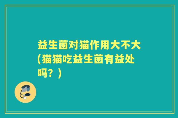 益生菌对猫作用大不大(猫猫吃益生菌有益处吗?) 益生菌对猫作用大不大(猫猫吃益生菌有益处吗?)