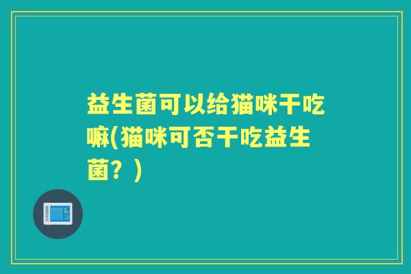 益生菌可以给猫咪干吃嘛(猫咪可否干吃益生菌？)