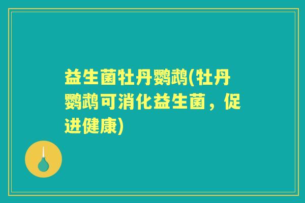 益生菌牡丹鹦鹉(牡丹鹦鹉可消化益生菌,促进健康) 益生菌牡丹鹦鹉(牡丹鹦鹉可消化益生菌,促进健康)