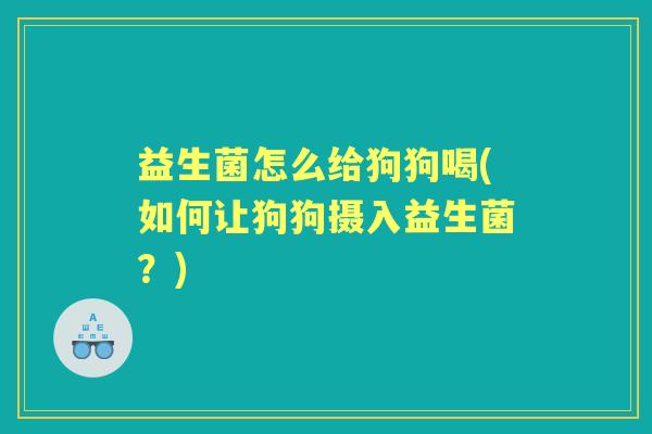 益生菌怎么给狗狗喝(如何让狗狗摄入益生菌？)