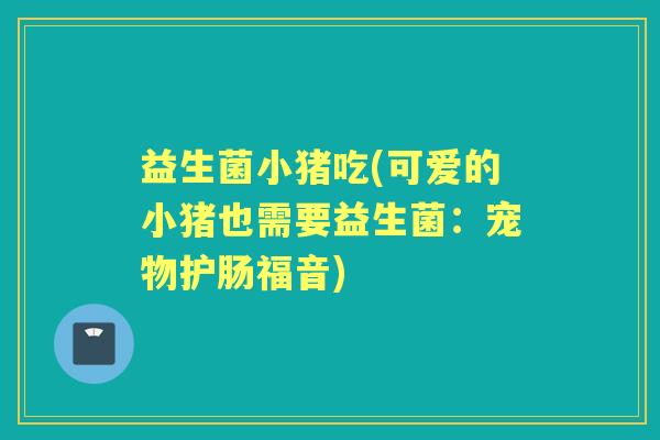 益生菌小猪吃(可爱的小猪也需要益生菌：宠物护肠福音)