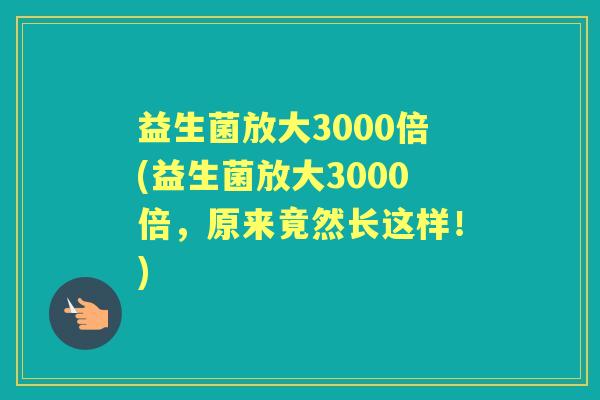 益生菌放大3000倍(益生菌放大3000倍,原来竟然长这样!) 益生菌放大3000倍(益生菌放大3000倍,原来竟然长这样!)