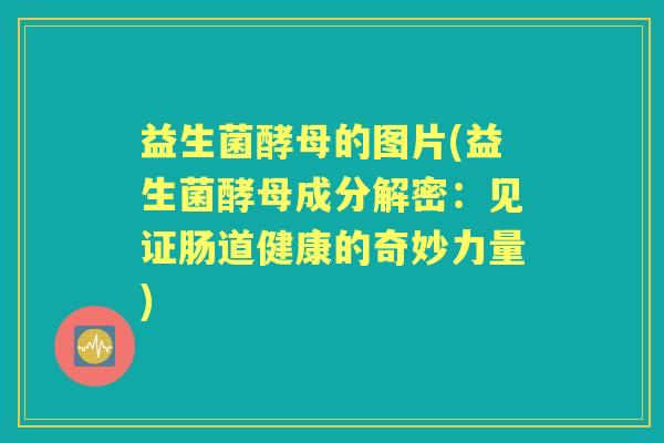 益生菌酵母的图片(益生菌酵母成分解密:见证肠道健康的奇妙力量) 益生菌酵母的图片(益生菌酵母成分解密:见证肠道健康的奇妙力量)