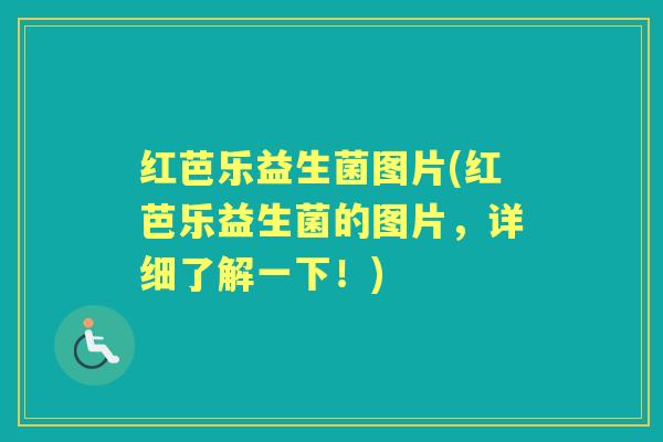红芭乐益生菌图片(红芭乐益生菌的图片，详细了解一下！)