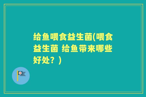 给鱼喂食益生菌(喂食益生菌 给鱼带来哪些好处？)
