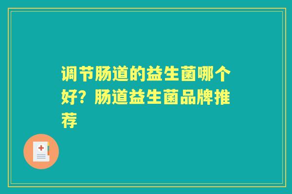 调节肠道的益生菌哪个好？肠道益生菌品牌推荐