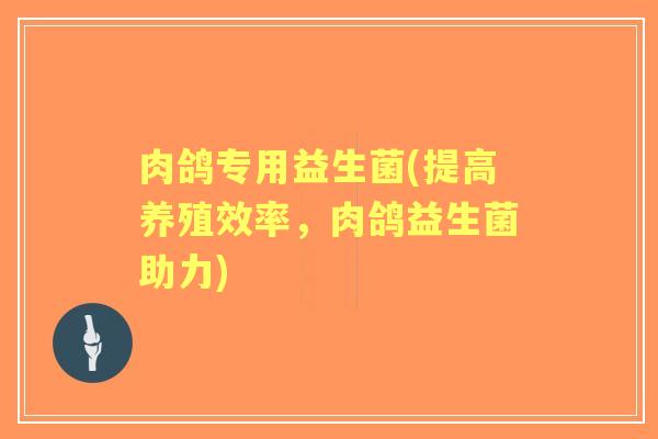 肉鸽专用益生菌(提高养殖效率,肉鸽益生菌助力) 肉鸽专用益生菌(提高养殖效率,肉鸽益生菌助力)