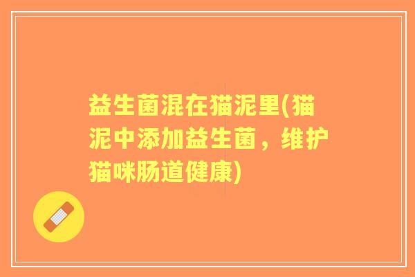 益生菌混在猫泥里(猫泥中添加益生菌,维护猫咪肠道健康) 益生菌混在猫泥里(猫泥中添加益生菌,维护猫咪肠道健康)